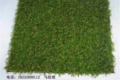 新聞 德州武城人造草坪單價無毒環(huán)保 廠家