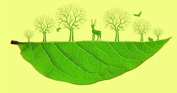 環(huán)保追責(zé) 黨政同責(zé)的時(shí)代擔(dān)當(dāng)